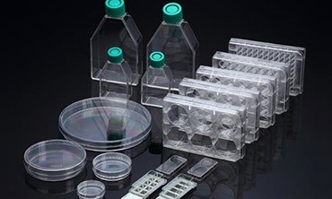 注塑模具時出現問題應該從這里排查? 注塑模具時出現問題應該從這里排查?